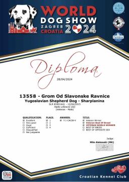 Diploma zmagovalca